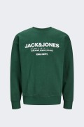 Jack&jones FELPA GIROCOLLO 12249273 VERDE foto 1