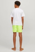 Jack&jones COSTUME 12253748SS24 WILD LIME foto 3