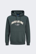 Jack&jones SWEATSHIRT 12267584 FOREST RIVER foto 1