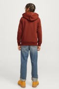 Jack&jones SWEATSHIRT 12263243 RIASS BRANDY BROWN foto 2