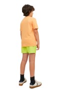 Jack&jones COSTUME 12226262 ACID LIME foto 2