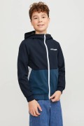 Jack&jones GIUBBOTTO 12200453ss24 BLU foto 2