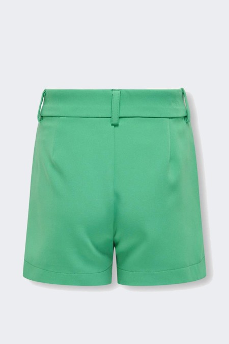 SHORTS 15320469 GREEN